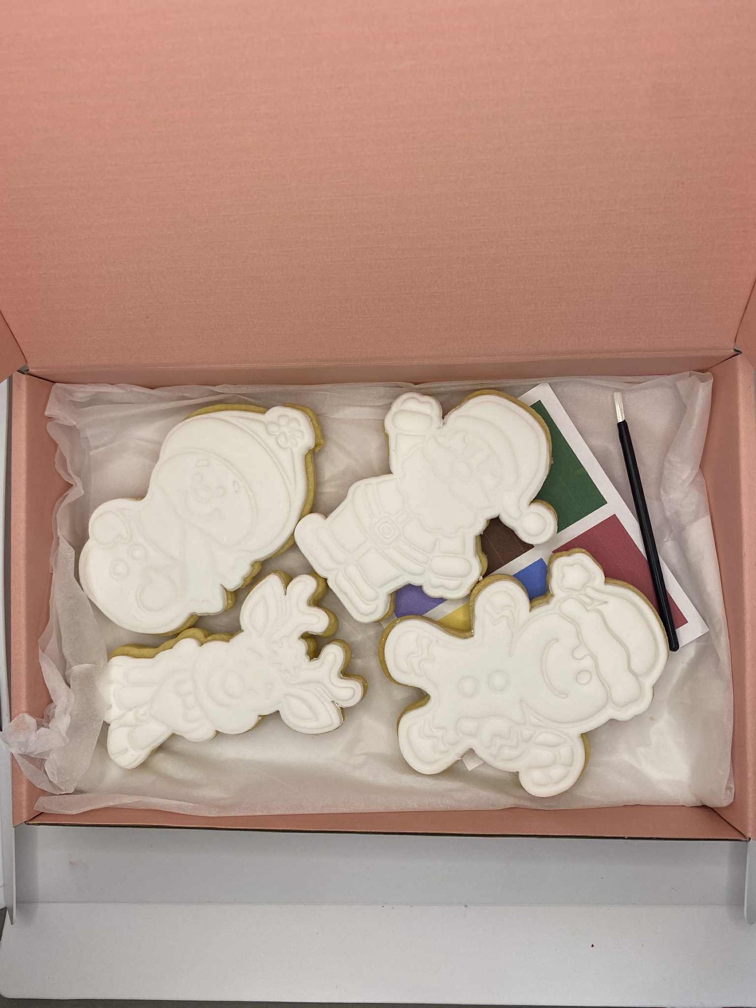 Paint Your Own Cookie Kits